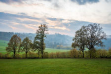 Herbst in Appmannsberg
